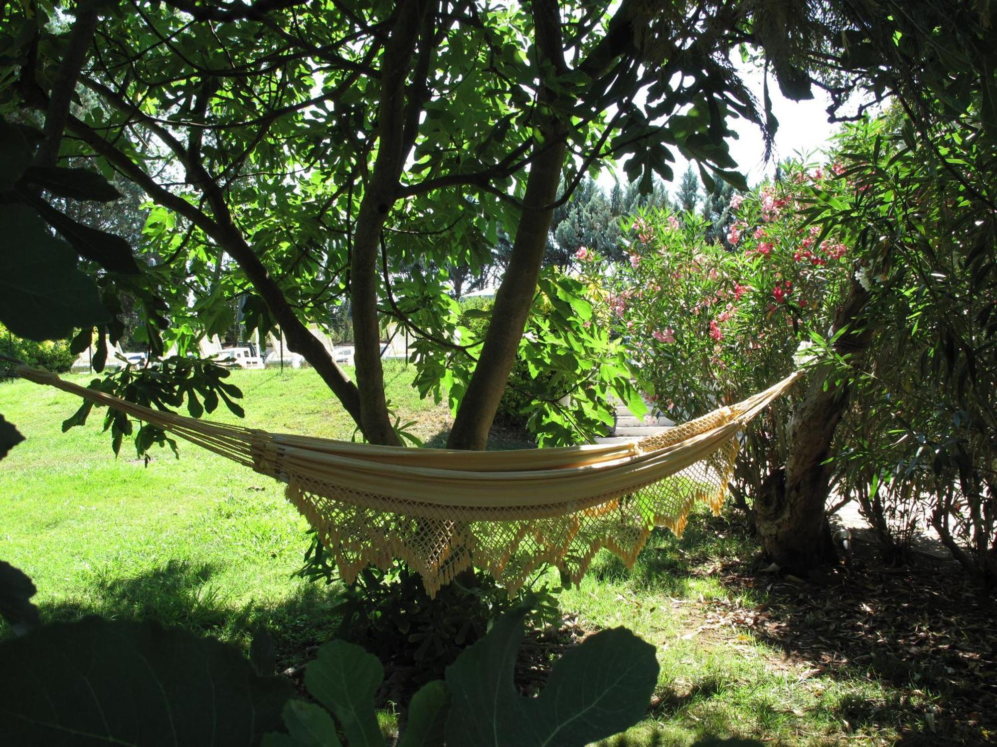 Residence Miro, Gites Avec Piscine Chauffee Et Tennis Les Arcs-sur-Argens エクステリア 写真